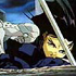 Battle Angel Alita